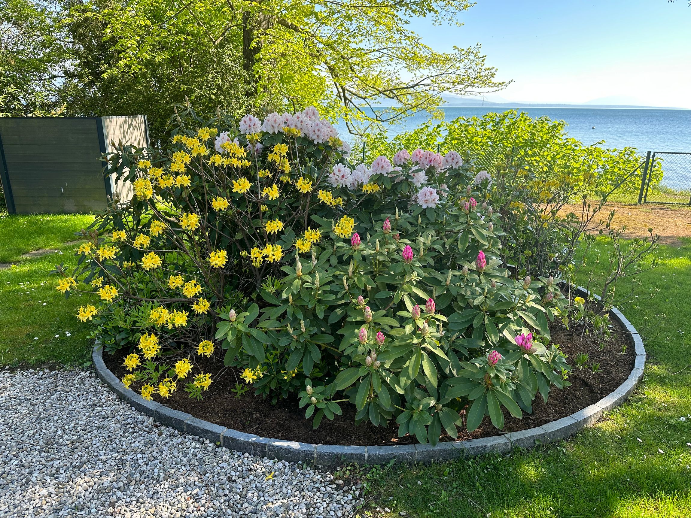 Bilder Armando Pinto Sàrl