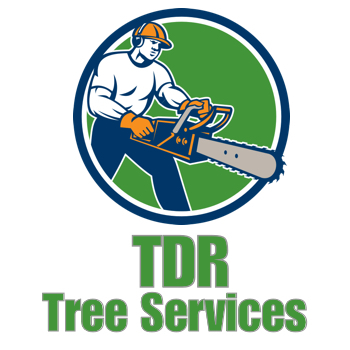 TDR Tree Services Logo