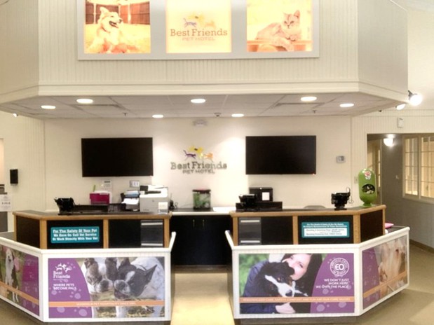 Images Best Friends Pet Hotel