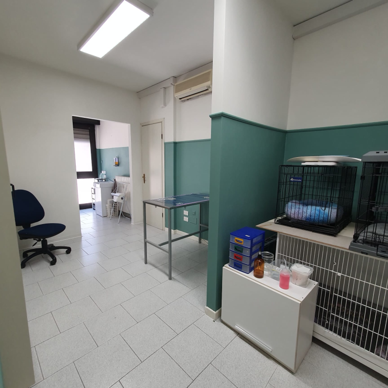 Images Ambulatorio Veterinario Arte Medica - d.ssa Conti Federica