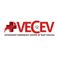 Veterinary Emergency Center Of East Volusia Logo