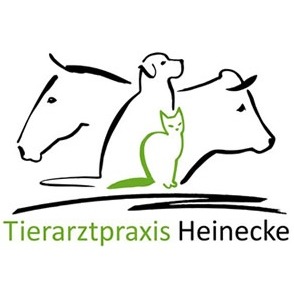 Tierarztpraxis Gerd und Kristin Heinecke bei Winsen/Luhe in Drage an der Elbe - Logo