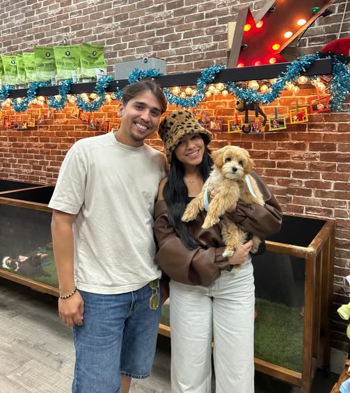 Puppies Direct Image