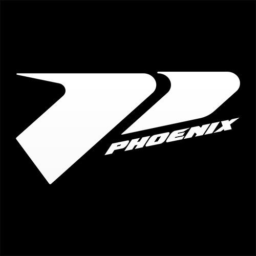 Phoenix Bats Logo