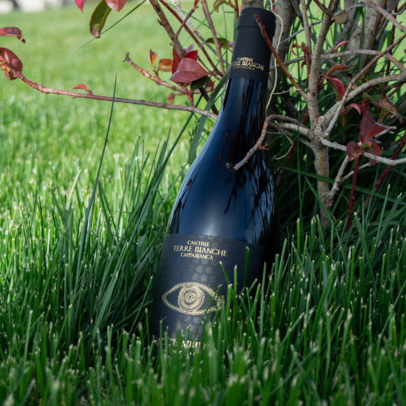 Images Cantine Terre Bianche Cappabianca