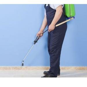 Greystone Pest Solutions