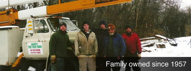 Images Darryl's Tree Service
