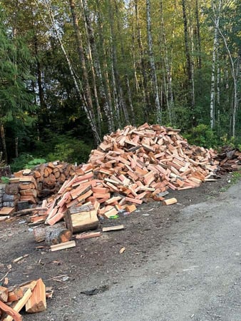 Images Brothers Tree service & Landscaping