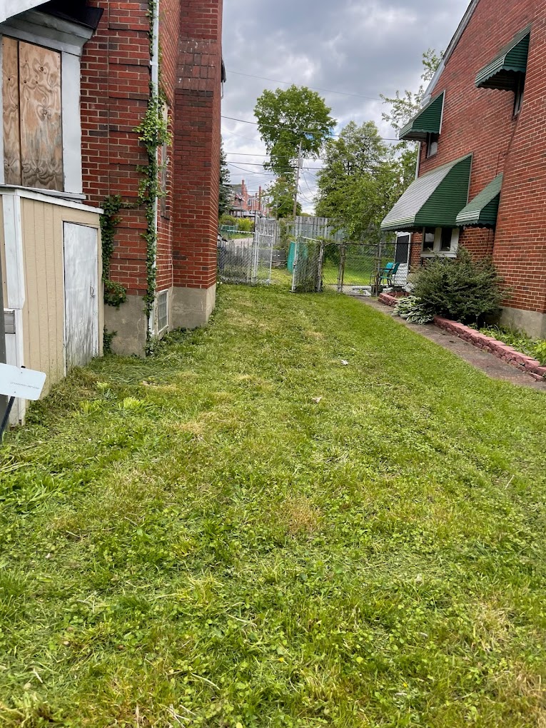 Grass Monkey Lawn Care Logo