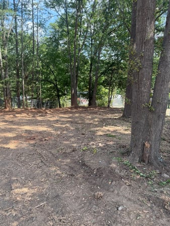 Images HMP Tree LLC