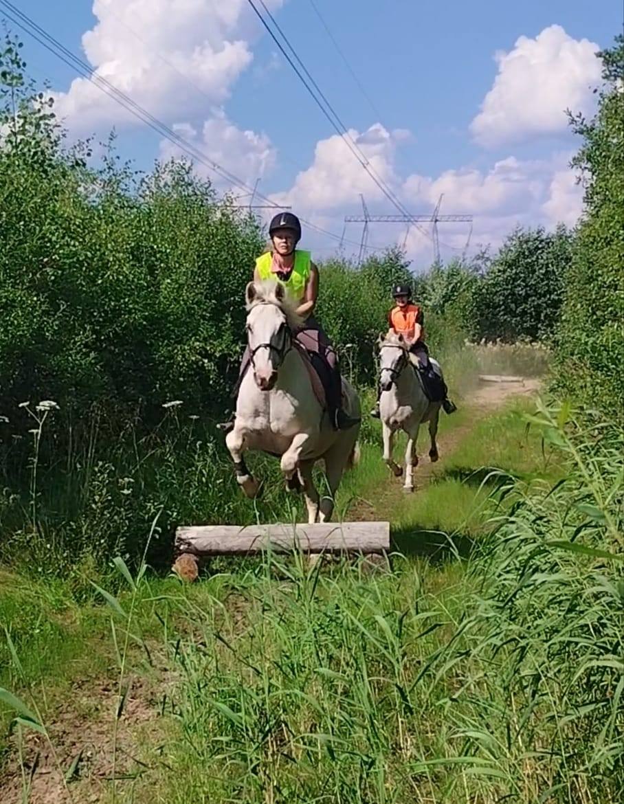 Images Relanderin Ponitalli