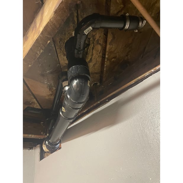 Images Mold Removal Express Fort Collins