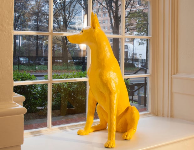 Images Hotel Indigo Atlanta Midtown by IHG