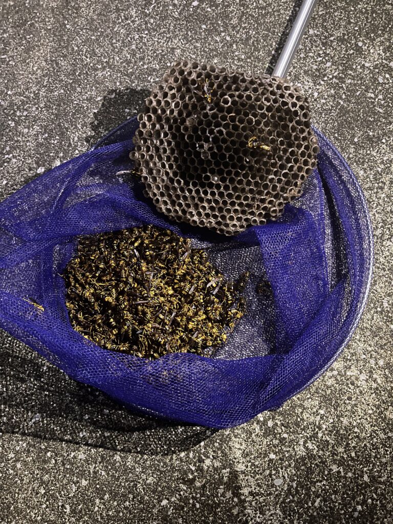 Images 関東駆除センター