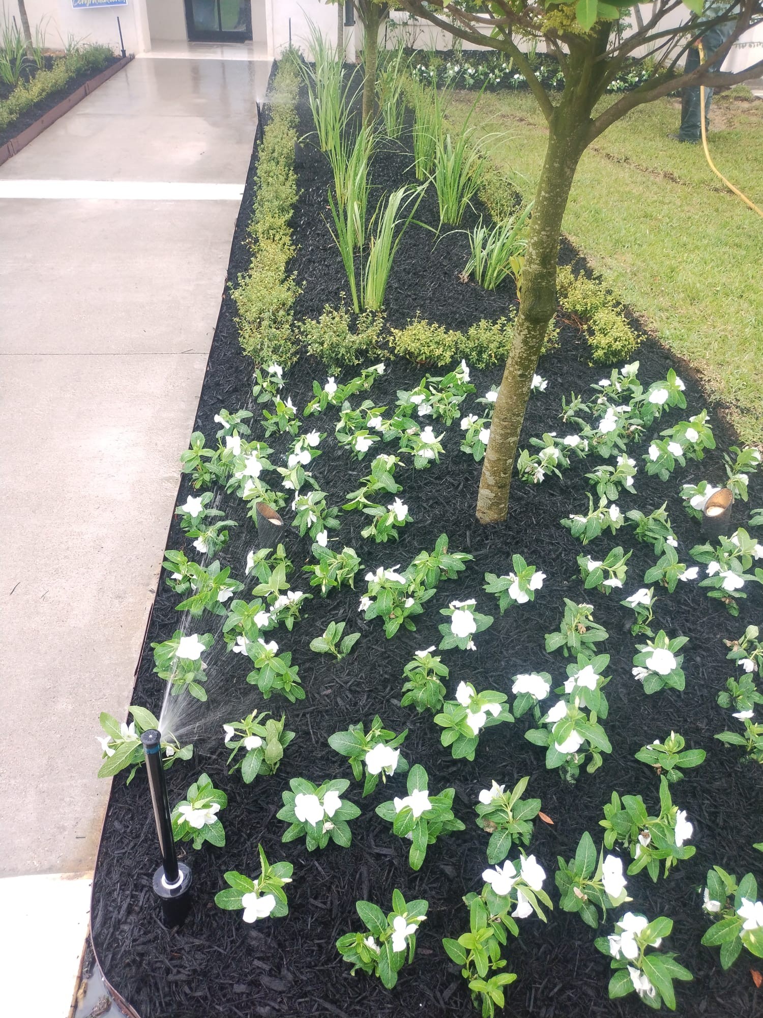 Southern Lawn & Landscapes LLC Image