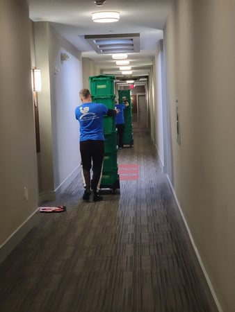 Images Exela Movers