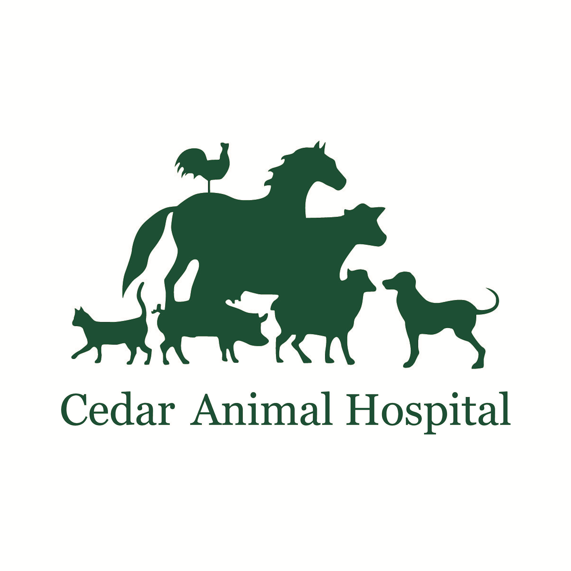 Cedar Animal Hospital