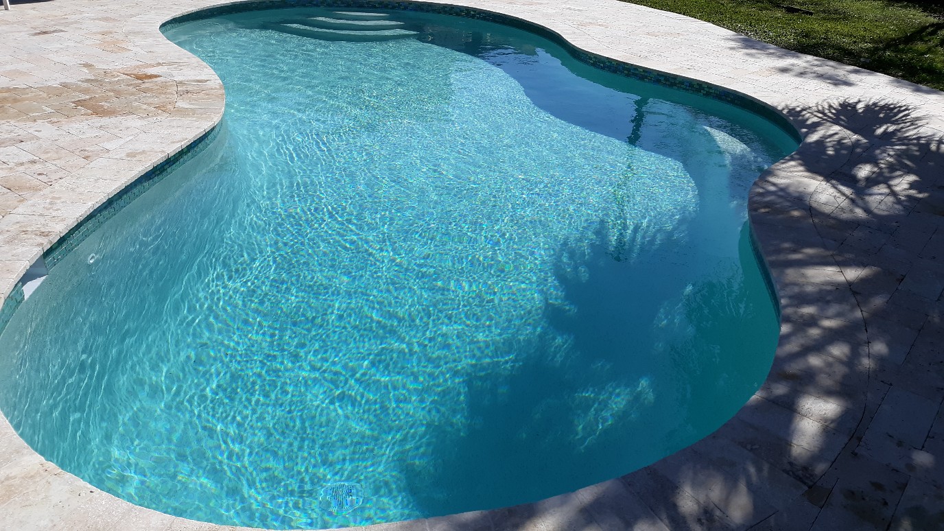 Freeform backyard swimming pool with sparkling blue water, curved edges, and light stone paver decking.