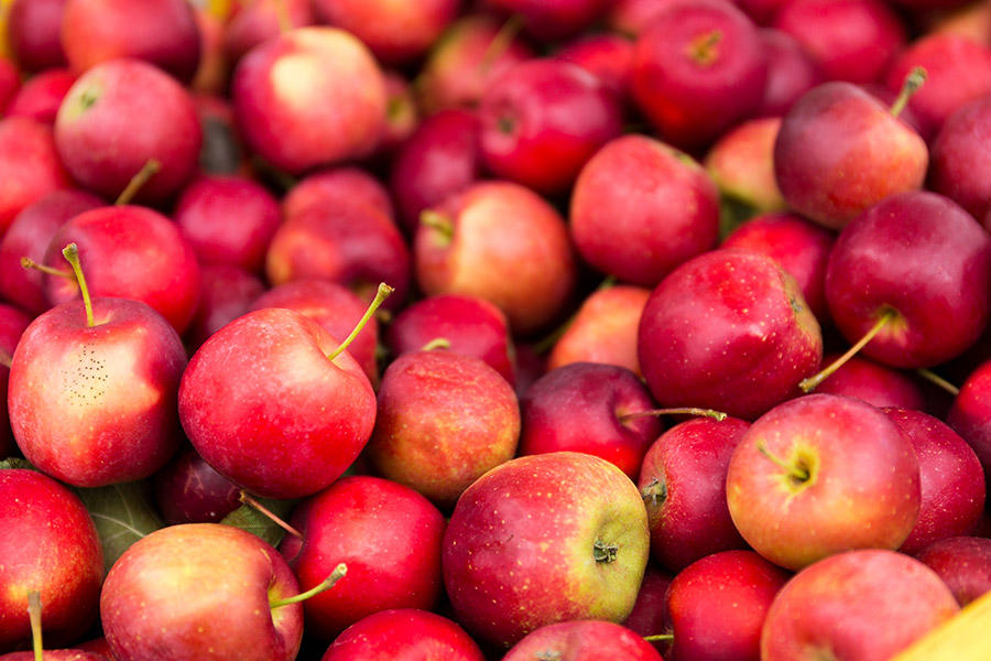 OBST UND GEMÜSE
Reif geerntete und vollaromatische Äpfel von regionalen Obstwiesen, würzig duftende Kräuter, aromatisches Gemüse: Köstlich!

Regionales und saisonales Obst und Gemüse liegen im Trend. Entdecken Sie einen bunten Mix an gesunden Vitaminen! Saisonal, leicht, lecker und immer öfter in bester Bio-Qualität. Täglich bestücken wir unser Obst- und Gemüse-Sortiment mit neuer Ware. Freuen Sie sich auf Leckerbissen aus der Heimat und exotische Spezialitäten aus Übersee. Sie haben die Wahl. Und die Qualität.