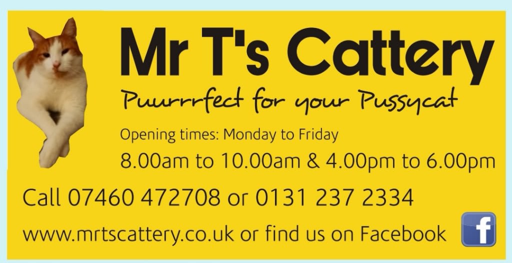 Images Mr T's Cattery