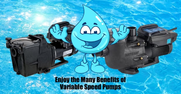 Images True Blue Pools