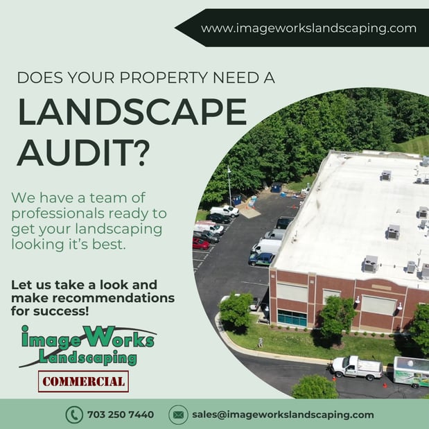 Images Image Works Landscaping