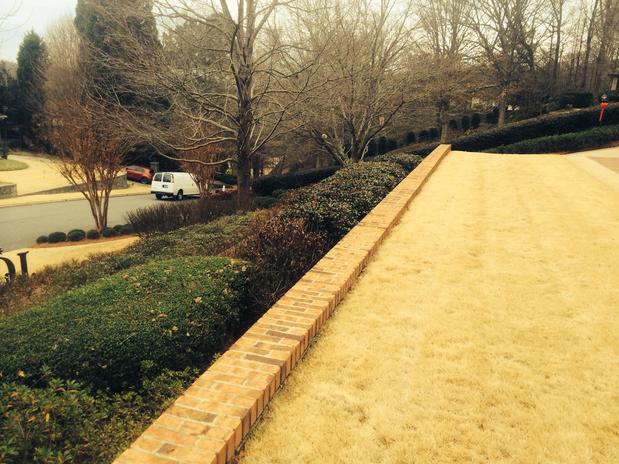 Images L-Chavez Landscaping Services