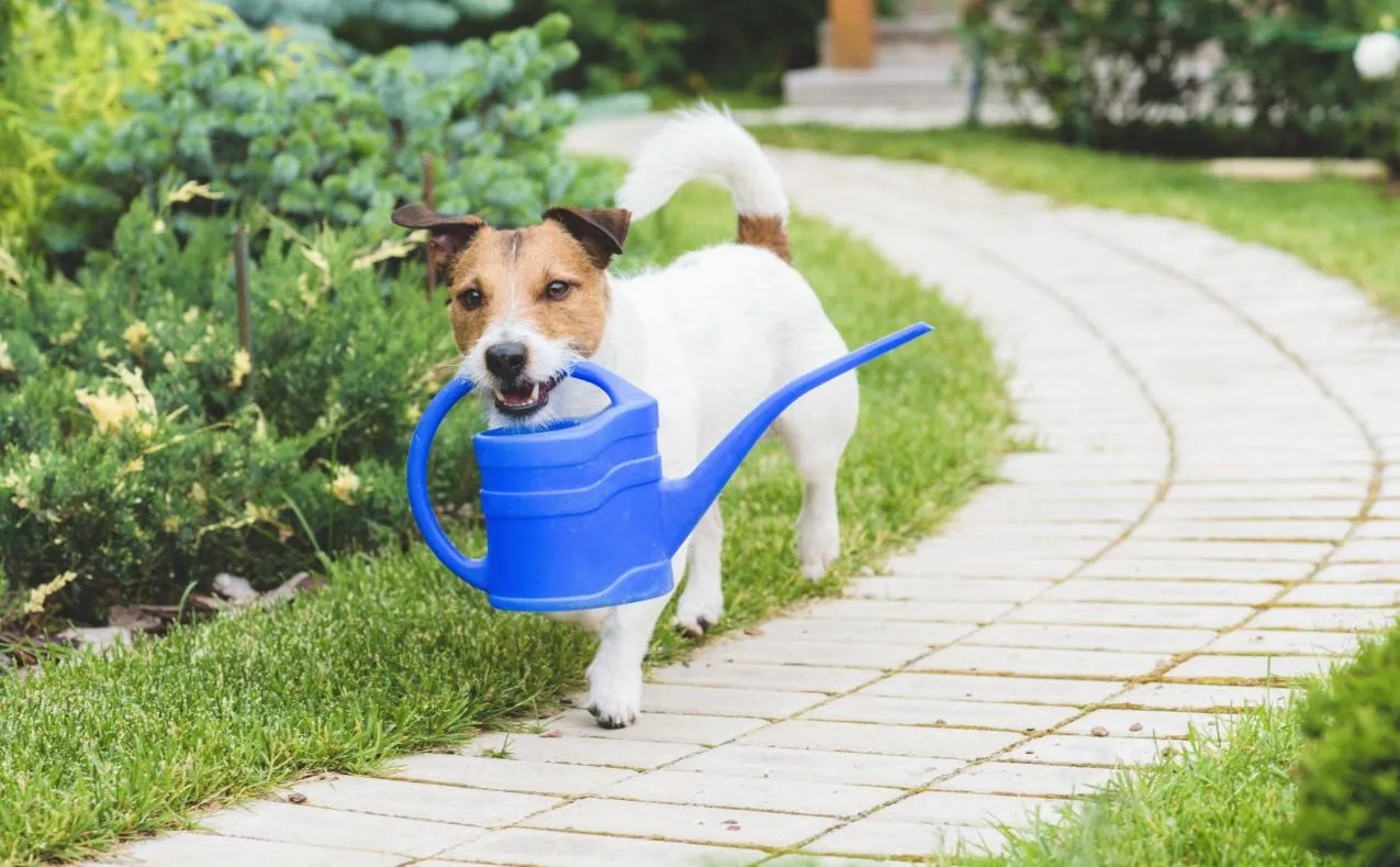 Images The Home Service Ltd