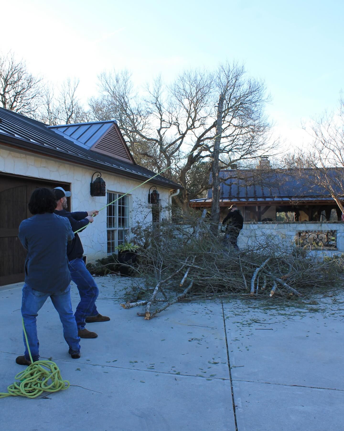 Forged Tree Service Image