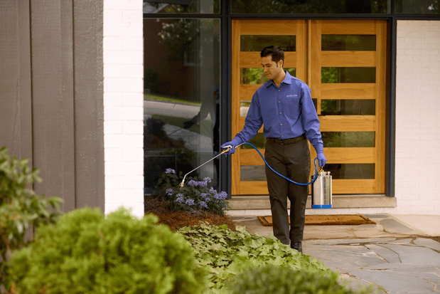 Images PURCOR Pest Solutions