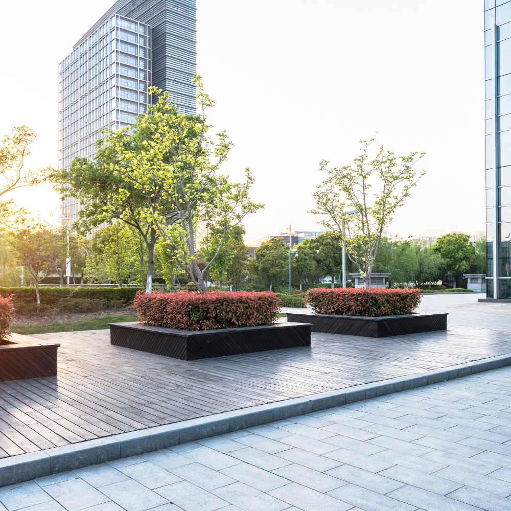 Commercial Landscaping 