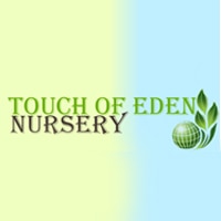 Touch of Eden Nursery Logo