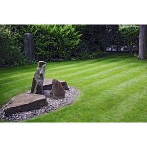 The Grounds Masters