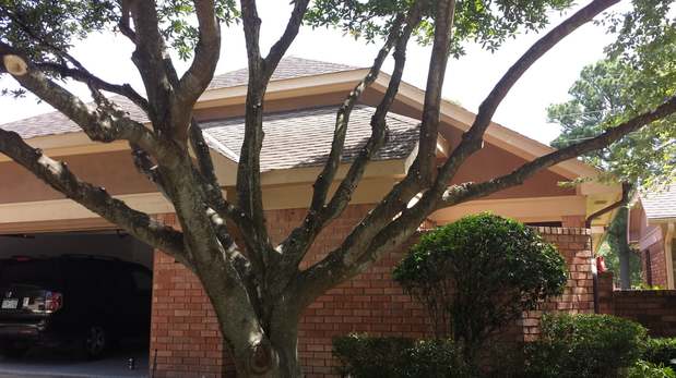 Images TNT Tree Service