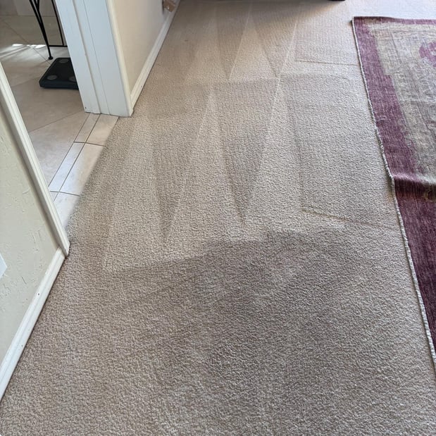 Images Renew Cleaning Services
