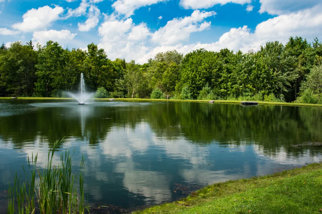 Skyway Camping Resort Image