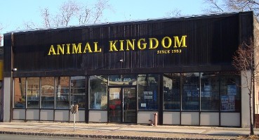 Images Animal Kingdom