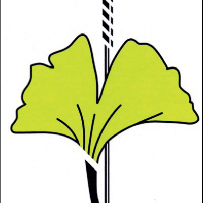 Naturheilpraxis Manfred Kremer in Rödental - Logo