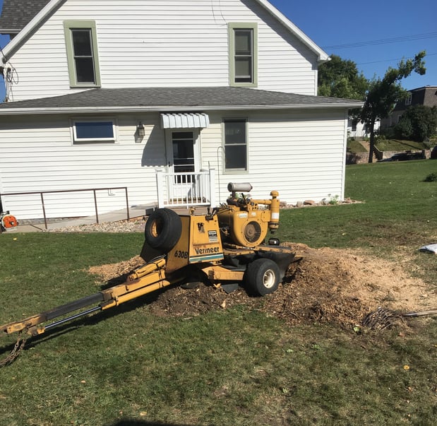 Images Wellman Tree Service