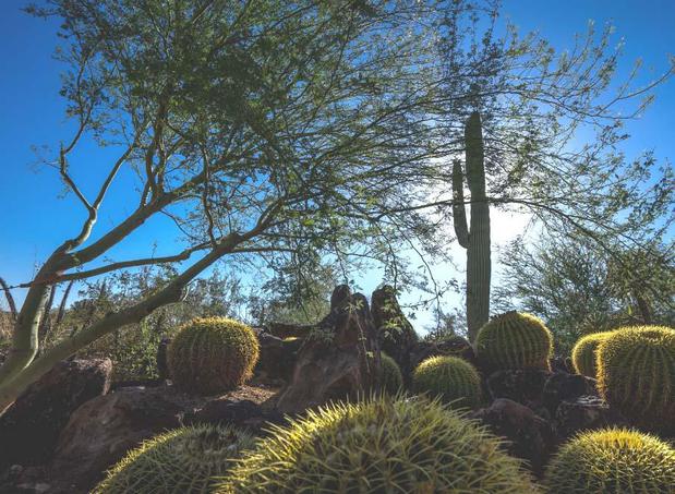 Images Cruz Landscaping