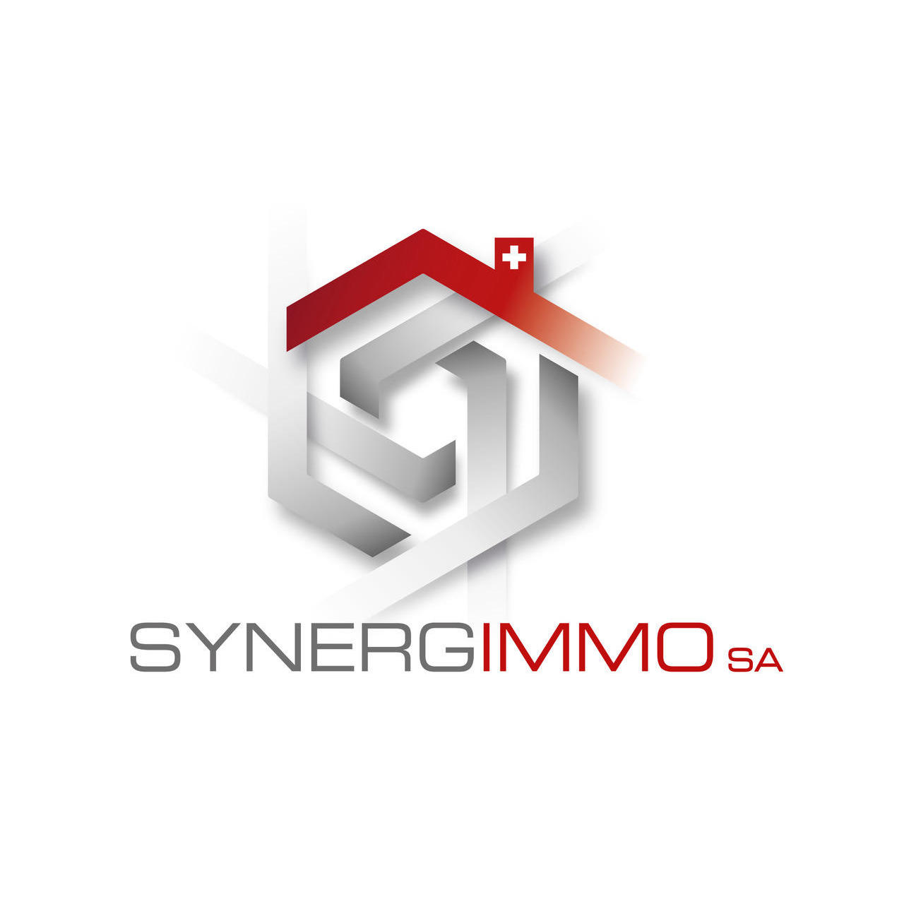 Synergimmo SA Logo