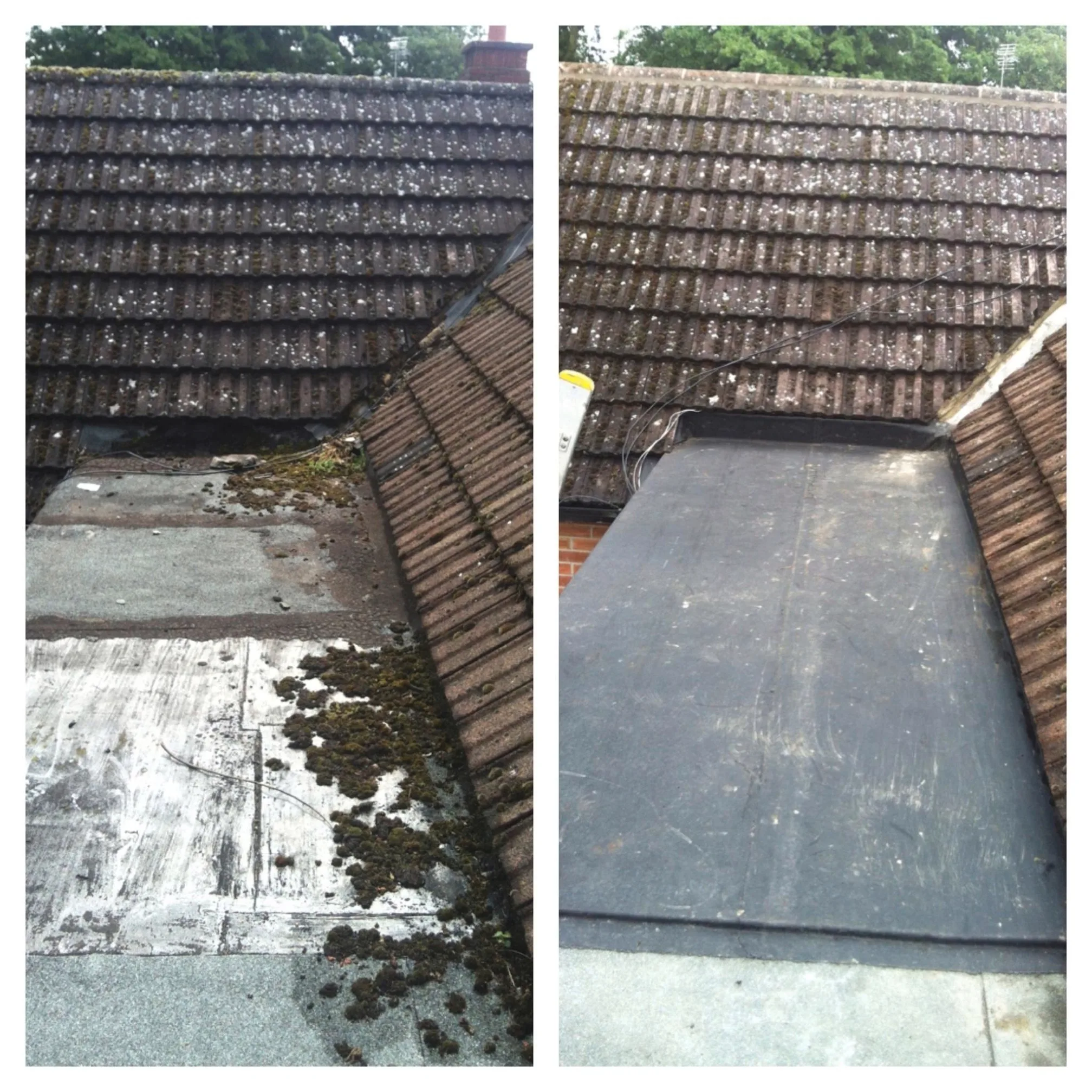 Images Majestic Roofing & Cladding Ltd