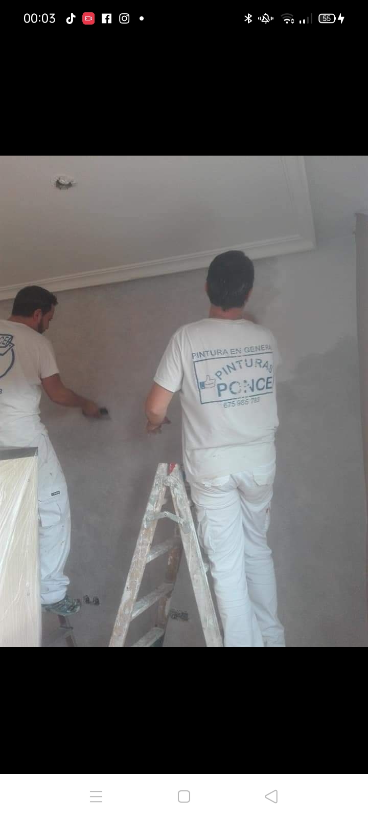 Images Pinturas Ponce