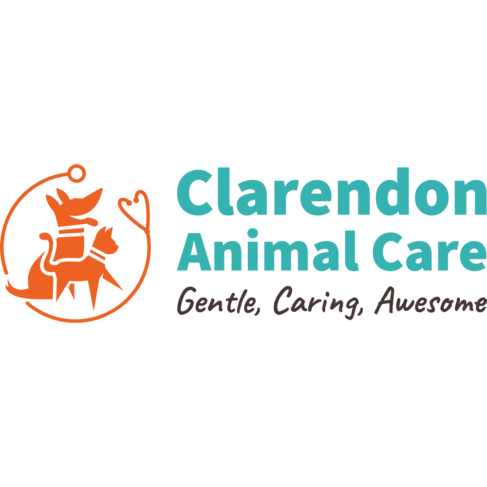 Clarendon Animal Care North Arlington
