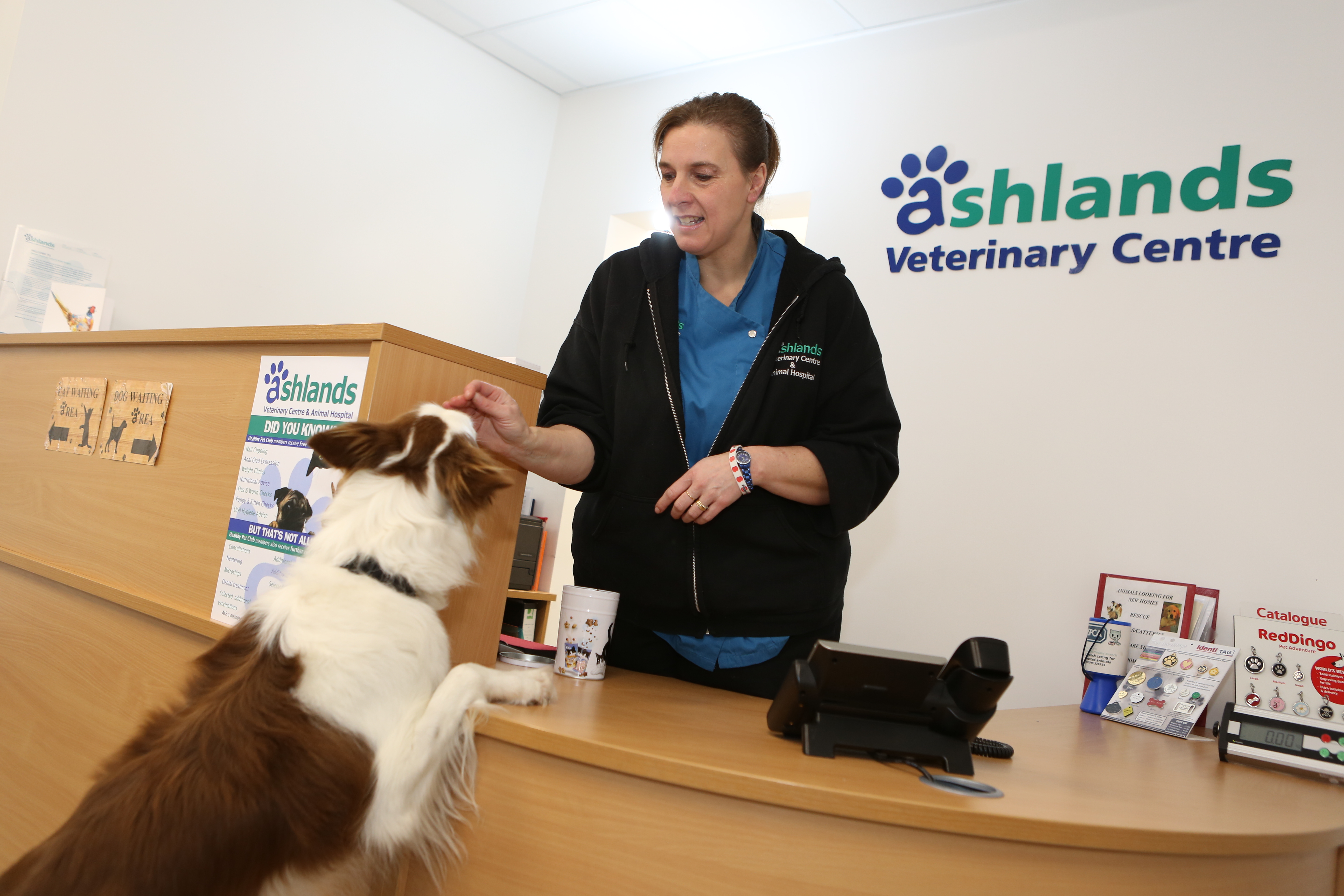 Images Ashlands Veterinary Centre, Skipton