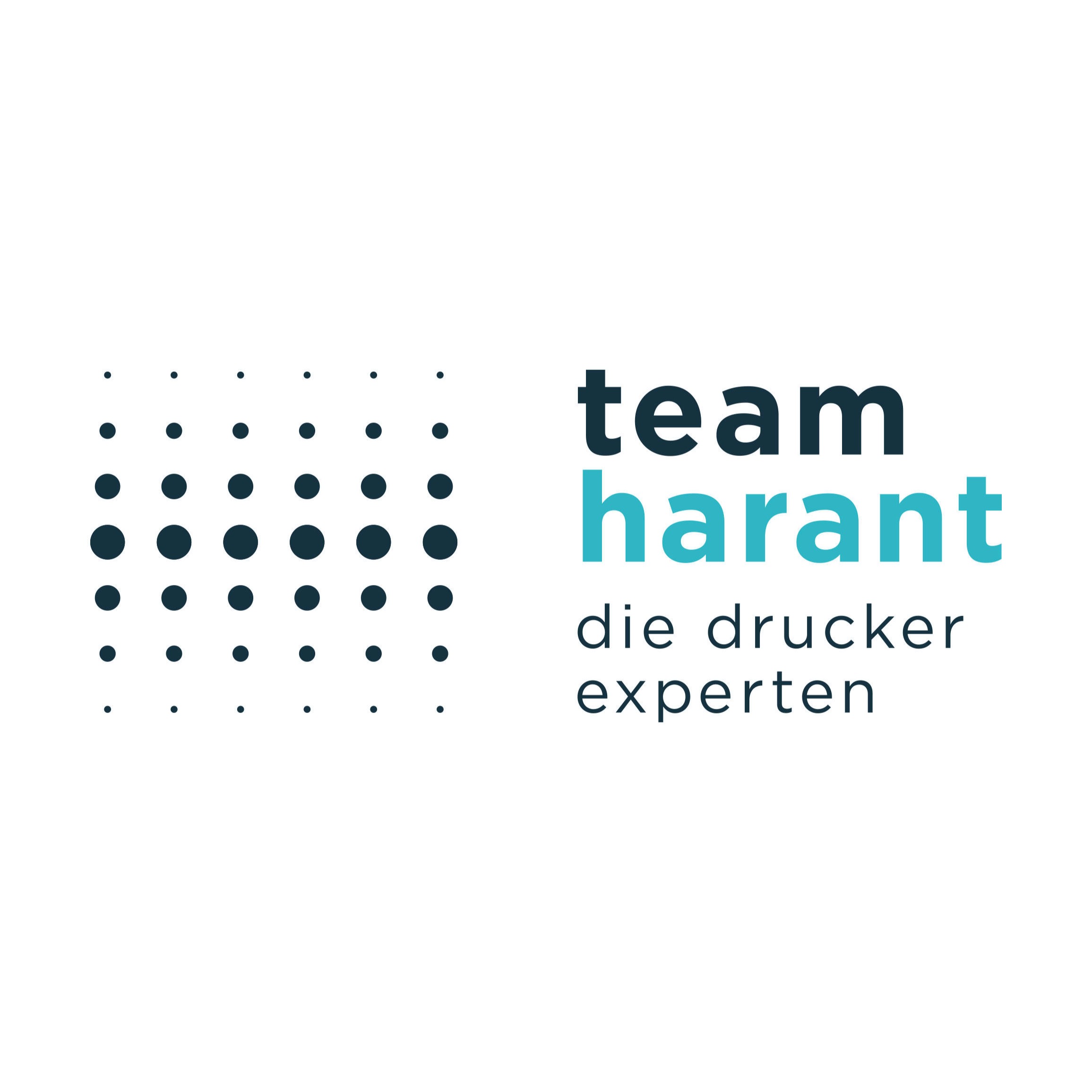 Logo Team Harant Standort Leonberg