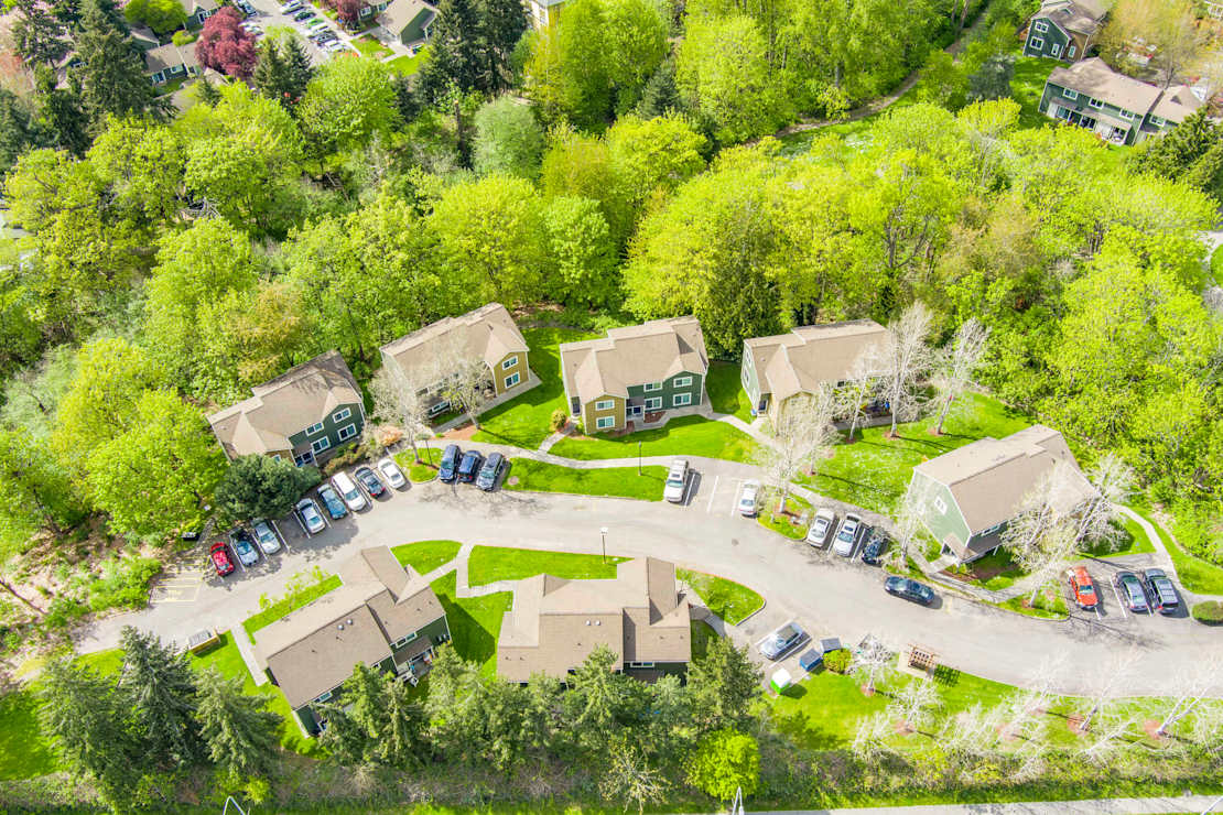 Aerial view of a community surrounded by trees