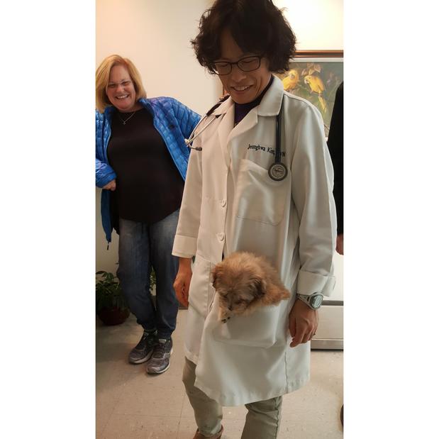 Images Village Veterinary Clinic