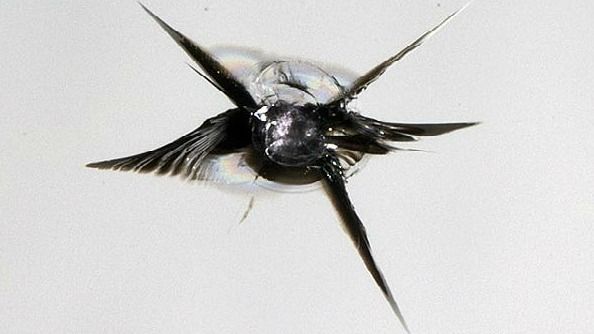 Images Tuulilasi1.com Suomi Oy