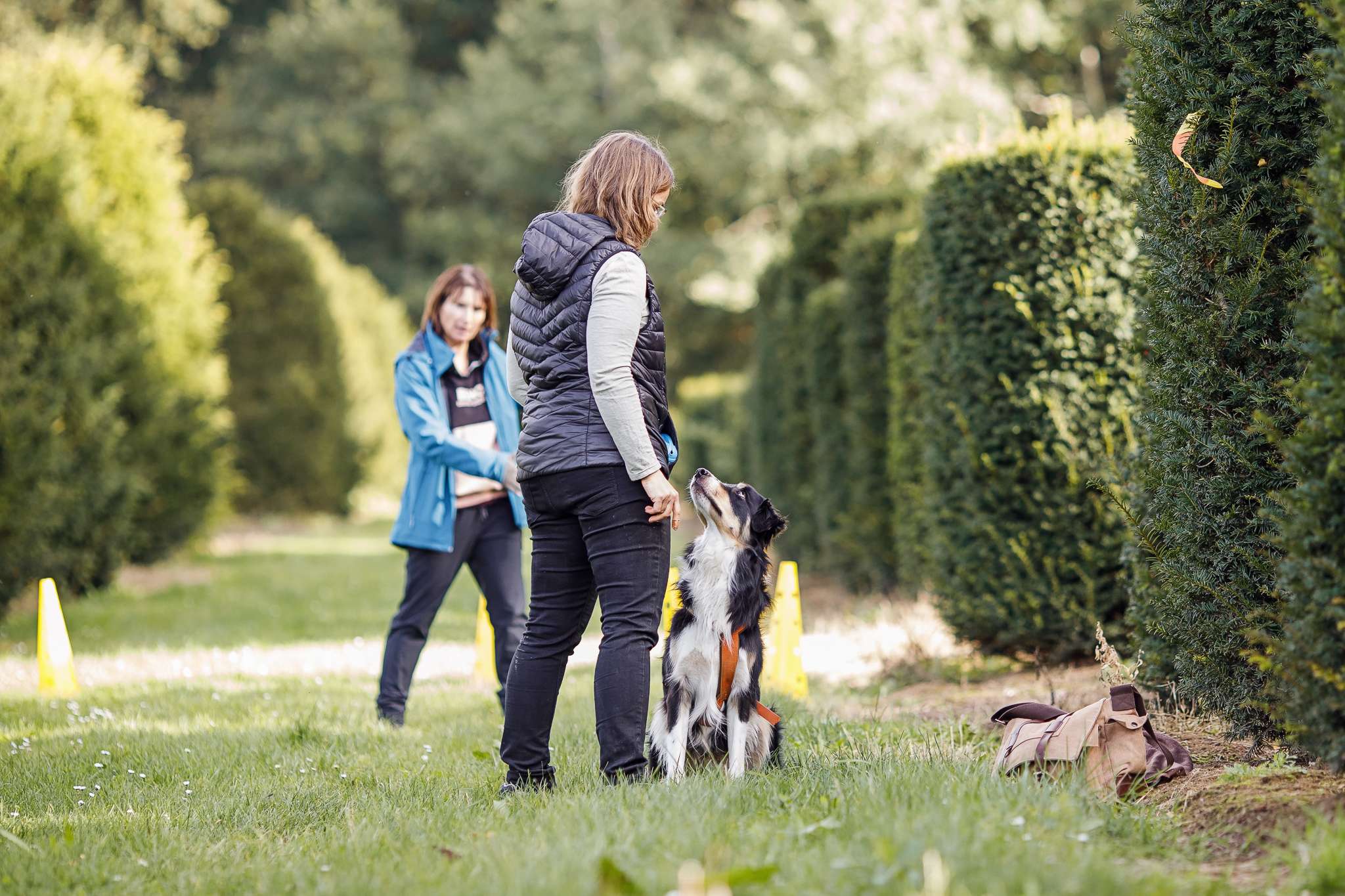 Hundeschule DogGeeks® TonCane: Online & Mobil, Voßbarg 23 in Seevetal